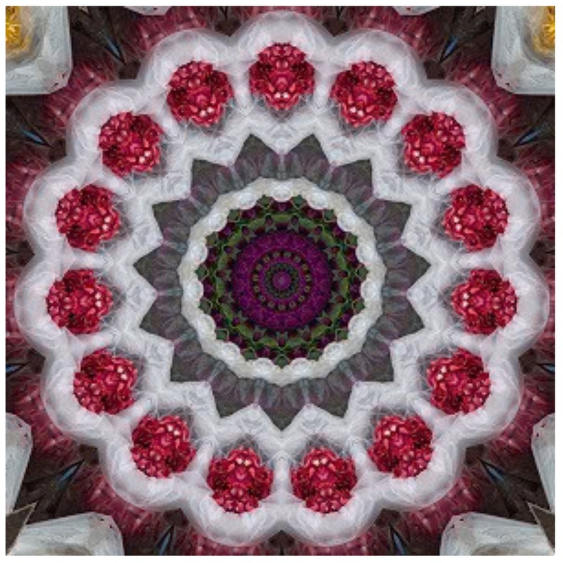 Annie Spalter – Untitled