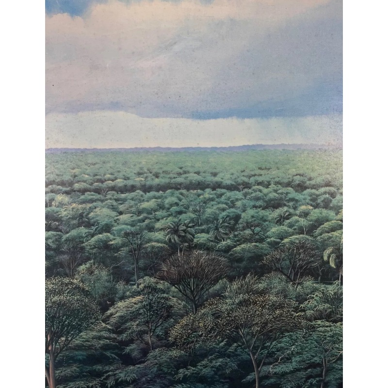 Toms Snchez – Untitled